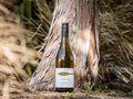 Totara Wines